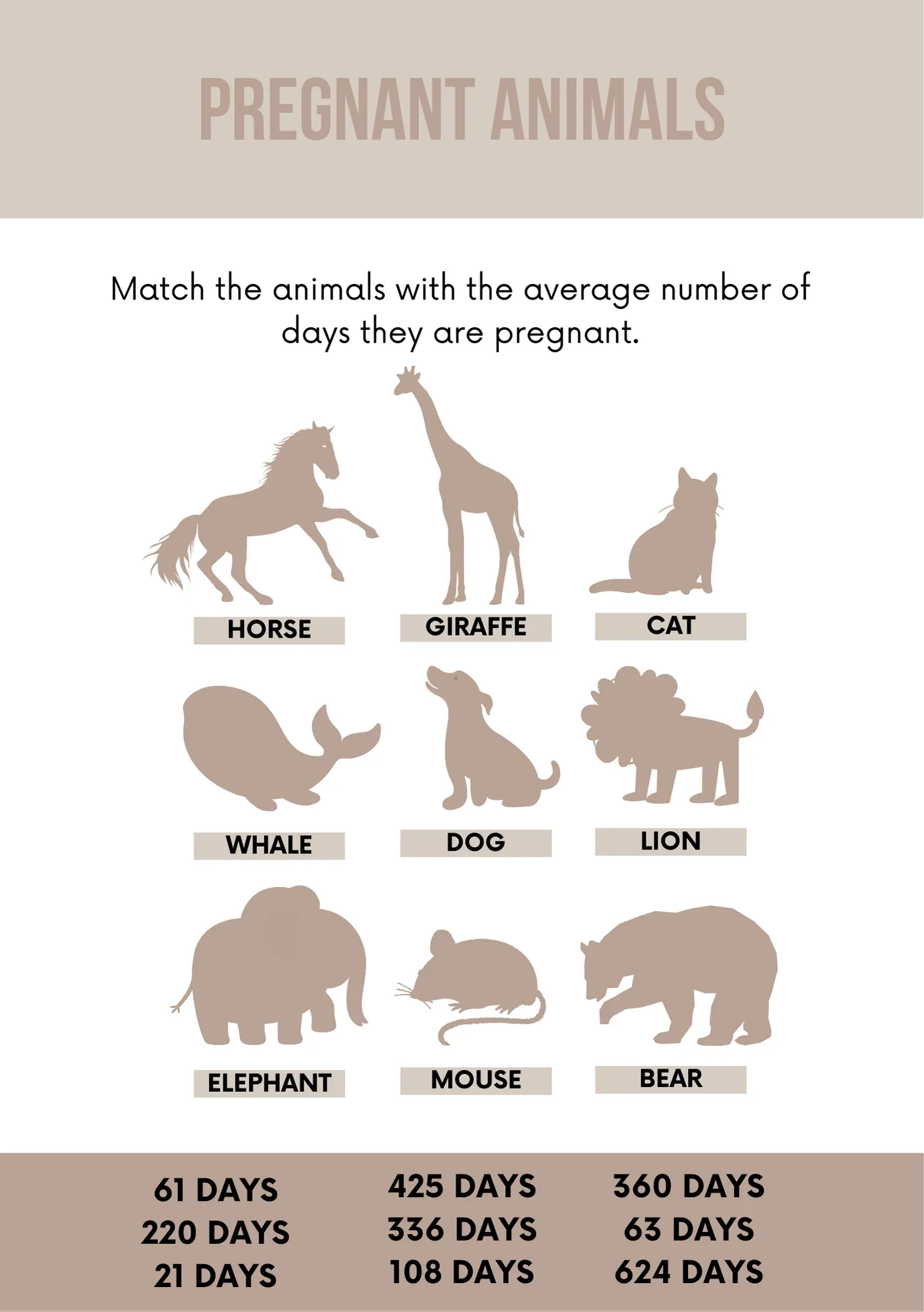 50 Baby Shower Games - Digital Download