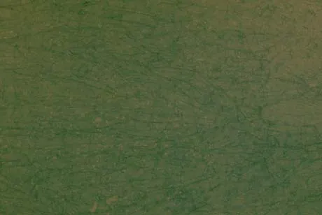 Batik Dark Green
