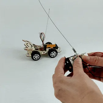 Wood Race Car DIY Kit: Radio controlled Car